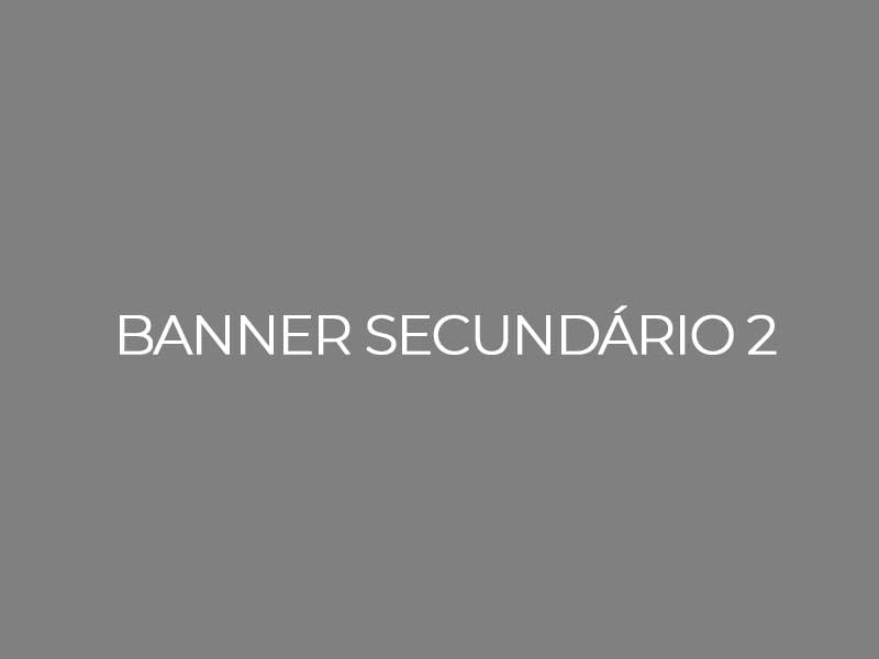 banner-sec-2